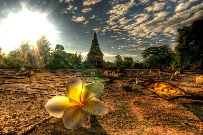 Ayutthaya Ancient City - Private Tour Logistics: Pickup, AC, and a Guide Who Keeps the Pace