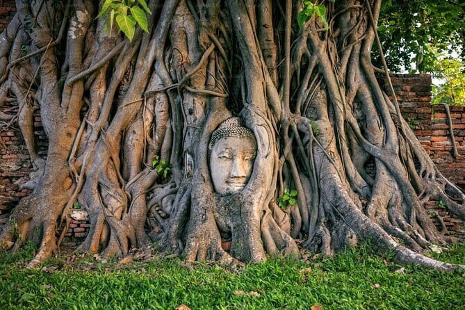 Ayutthaya Bicycle Tour with Scenic Boat Experience - Price and value at $123.53: what you actually get for the money