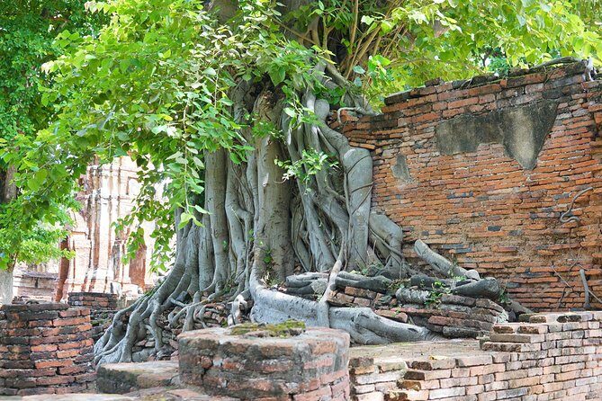 Ayutthaya Evening Tour with Dinner - Wat Mahathat: the temple stop with the most emotional pull