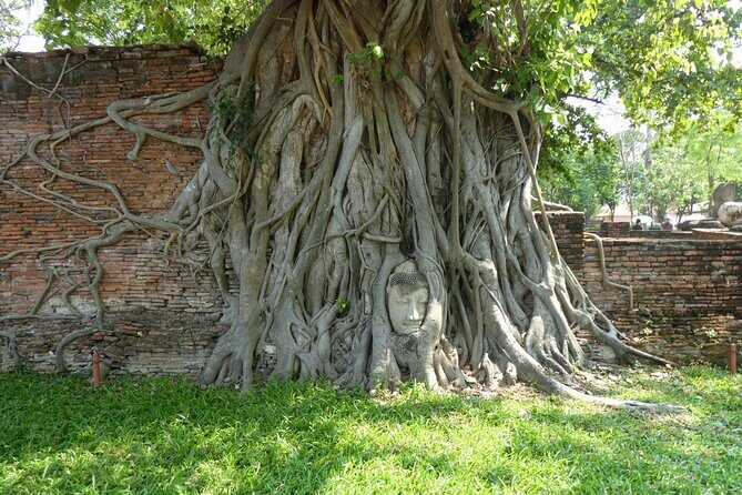 Ayutthaya Famous Temple & Scenic Boat Tour From Train Station - Wat Mahathat: that iconic Buddha head in banyan roots