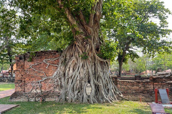 Ayutthaya Historical Old Capital day Tour from Bangkok - Wat Phu Khao Thong: the 50-meter chedi viewpoint