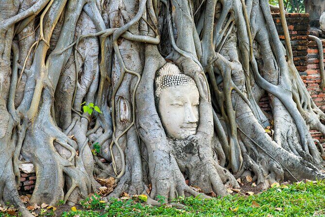 Ayutthaya Summer Palace and Temples Day Tour from Bangkok - Wat Yai Chai Mongkol: When Size Becomes the Story