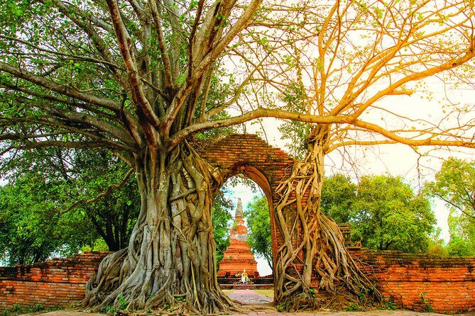 Ayutthaya Sunset Boat & UNESCO Temples: Multi-language private tour from Bangkok - Stop by Stop: What Each Temple Stop Is Really Like