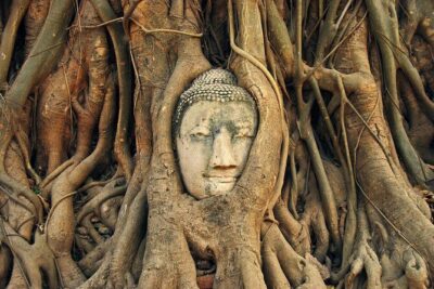 Ayutthaya Temples Tour from Bangkok with Grand Pearl River Cruise - Ayutthaya Historical Park: seeing the big picture fast