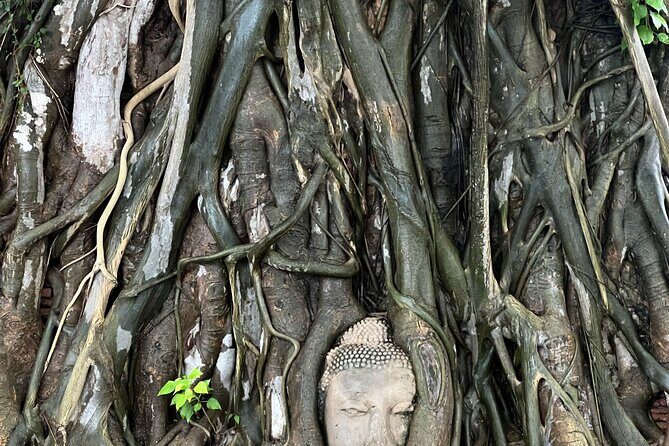 Ayutthaya’s Hidden Gems: Small Group Tour with Car & Local Guide - Lunch at Ayutthaya Retreat: Thai comfort beside a lotus pond