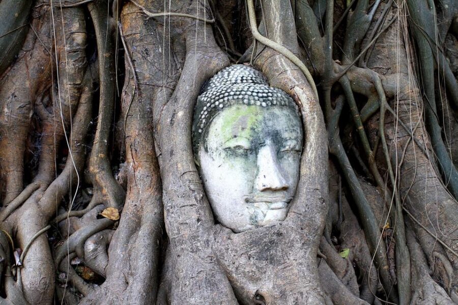 Bangkok: Audio guides for Bangkok, Ayutthaya & Chiang Mai - Who This Audio Pass Suits Best (and Who Might Prefer Something Else)