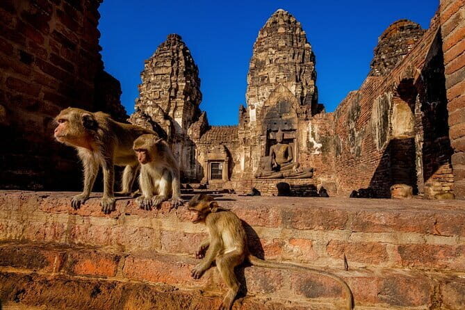 Bangkok to Ayutthaya Lopburi Monkey Temple, Largest Buddha Tour - Quick hits before you go