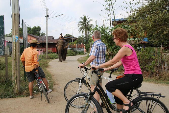 Colors of Ayutthaya Full-Day Bike Tour - Getting from city to UNESCO with a guide doing the talking