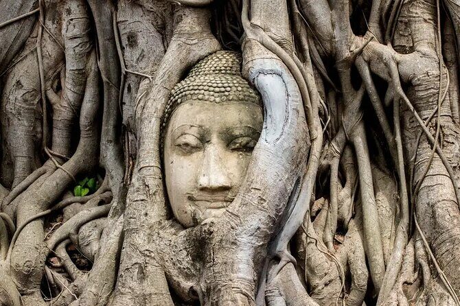 Day Tour of Ayutthaya and Bang Pa-In - Price and what you actually get for $83.71
