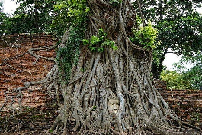 Discover UNESCO World Heritage Sites - Ayutthaya to Khao Yai National Park - Why This UNESCO Two-Stop Day Works From Bangkok