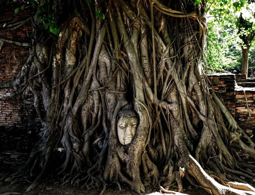 From Bangkok: Ayutthaya Heritage Tour with Sunset Boat Ride - The Bangkok transfer: comfortable ride, but sound can be a factor