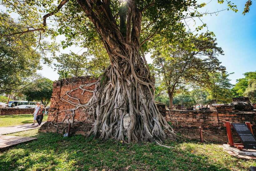 From Bangkok: Ayutthaya Temples Guided Tour with Lunch - Bangkok to Ayutthaya: the ride you’ll actually feel