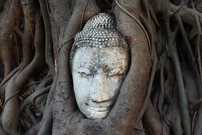 Highlights of Bangkok and Ayutthaya (World Heritage site) in 1 day - Wat Arun (Temple of Dawn) in 45 minutes: how to not rush it
