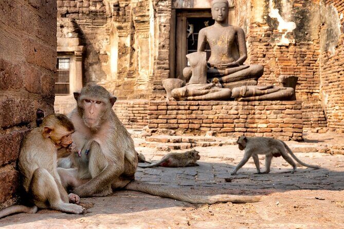 Lopburi Monkey Temple & Ayutthaya Old City Tour From Bangkok - A long day with real contrasts: Lopburi to Ayutthaya