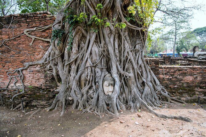 Private Ayutthaya Day Tour from Bangkok - Budget tips: entrance fees, lunch, and surviving Ayutthaya heat