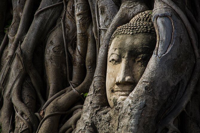 Private Tour : Ayutthaya Sightseeing by Coach return by Cruise - Price and value: what $181.96 covers (and why it can be fair)