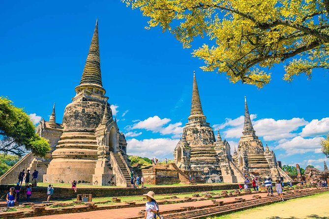 Private Tour: Ayutthaya Temples, Ruins and Lunch on River Cruise - Wat Mahathat: the Bodhi tree scene that makes Ayutthaya click