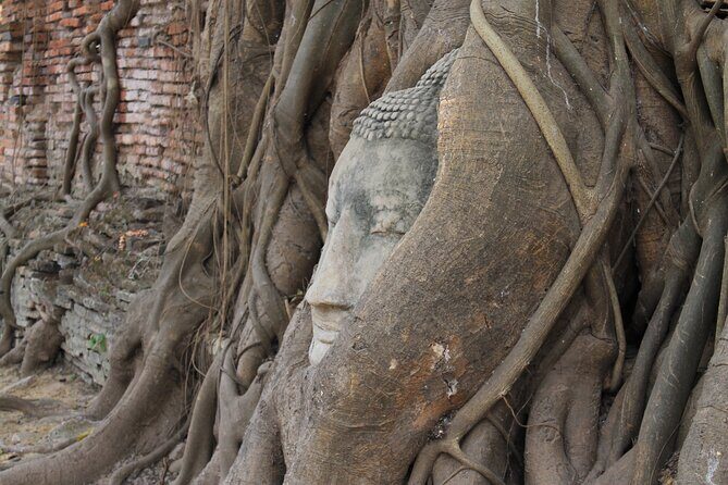 Small Group Tour to Ayutthaya Temples from Bangkok with Lunch - Wat Mahathat: The Bodhi-Tree Roots and the Buddha Head